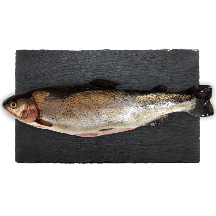 Kup teraz ➡ Świeży pstrąg patroszony, niska cena, szybka dostawa