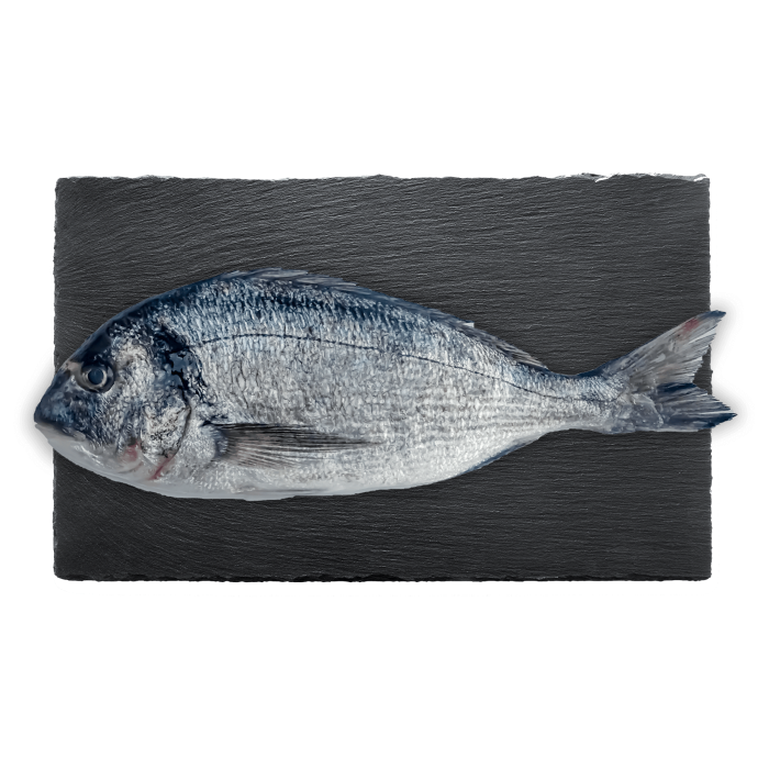 Kup teraz ➡ Świeża dorada, niska cena, szybka dostawa