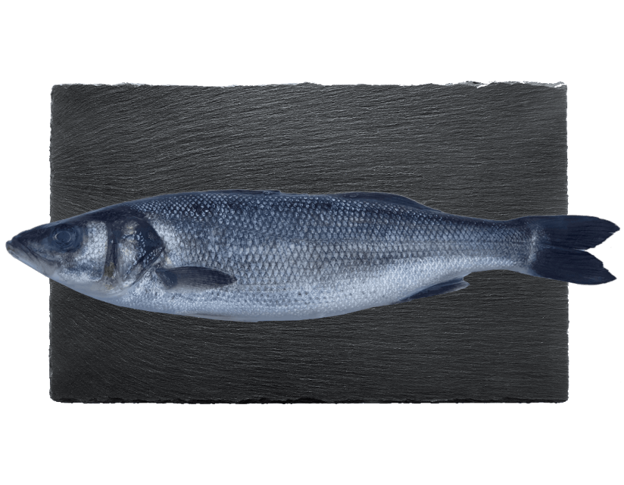 Featured image of post Steps to Make Branzino Ryba