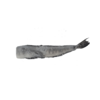 Kup teraz ➡ Kergulena tusza 1kg, niska cena, szybka dostawa