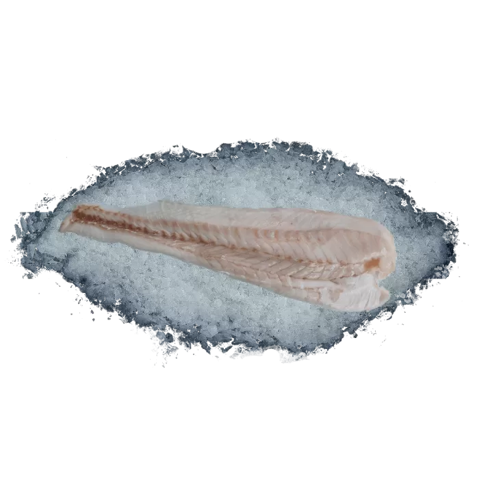 Kup teraz ➡ Miętus królewski filet bez skóry - 1kg Kup teraz ➡ Miętus królewski filet bez skóry - 1kg