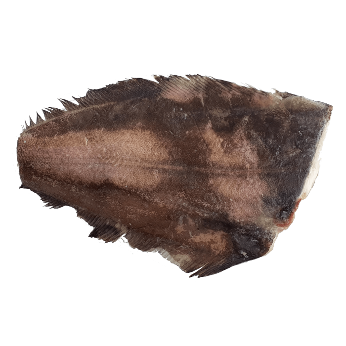 Kup teraz ➡ Halibut tusza bez głowy 1,5kg Profish