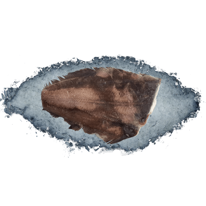 Kup teraz ➡ Halibut tusza bez głowy 1,5kg Profish