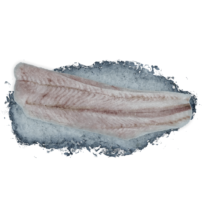 Kup teraz ➡Filet z miruny nowozelandzkiej bez skóry 0% glazury Amaltal 6,8kg