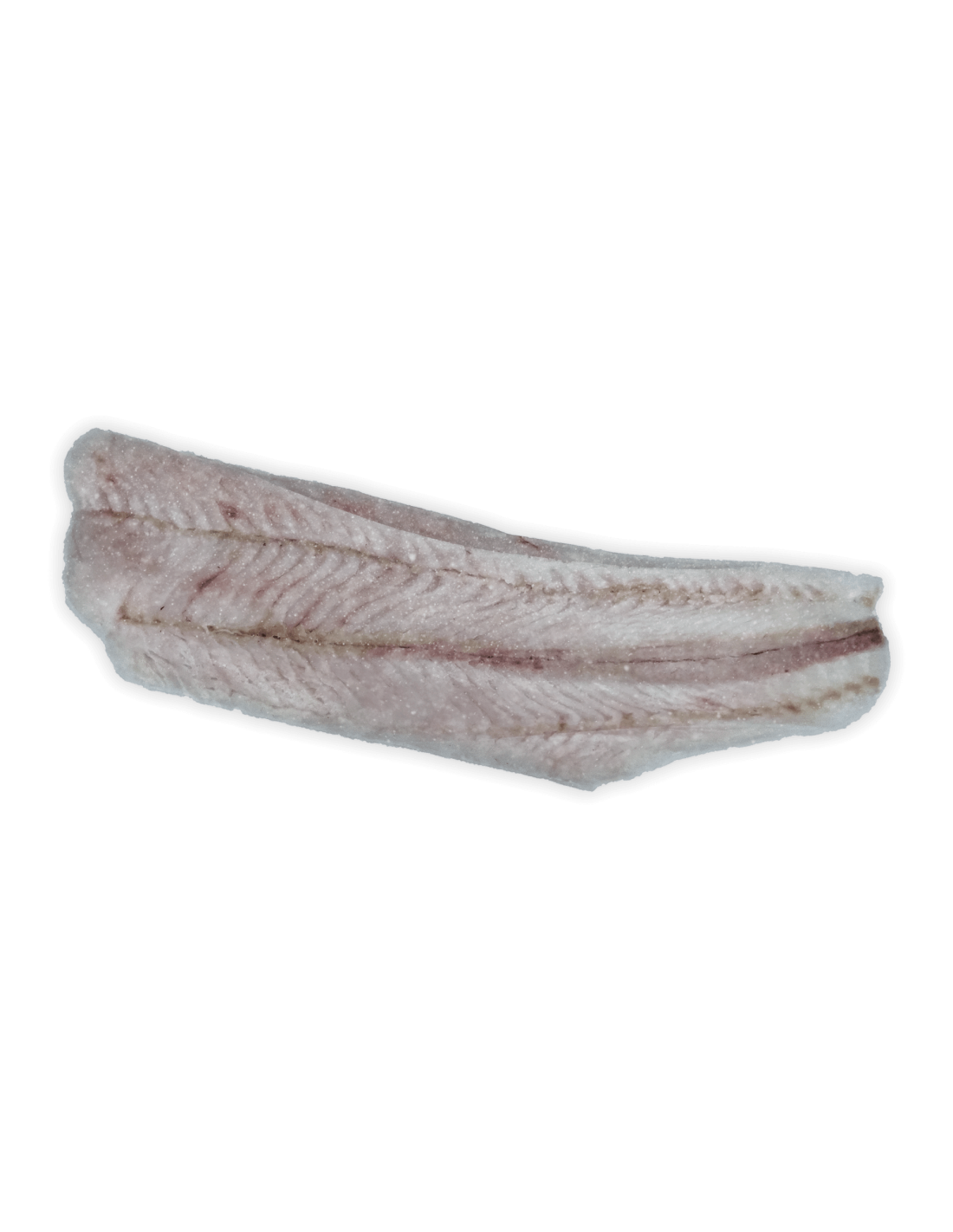 Filet z miruny bez skóry 0 glazury Taylle`s 6,8kg Kup teraz