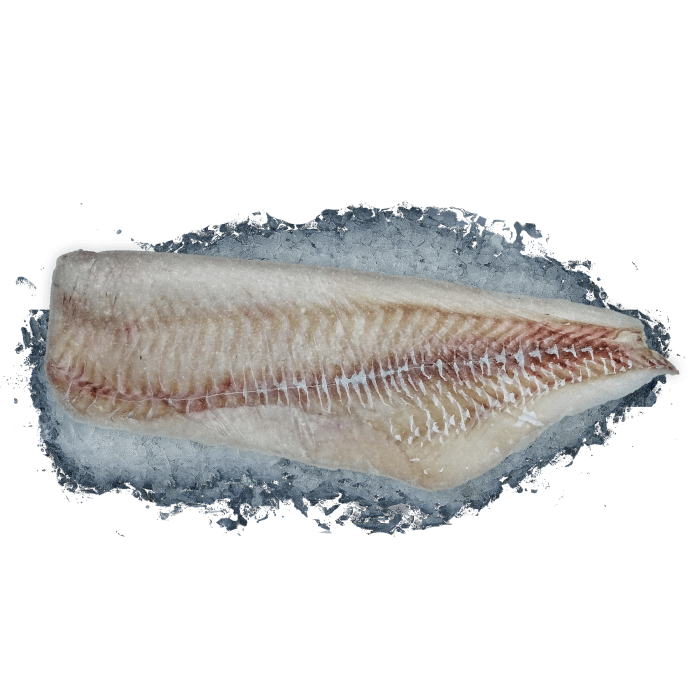 Kup teraz ➡ Filet z dorsza Atlantyckiego bez skóry 0% glazury - 6,8kg