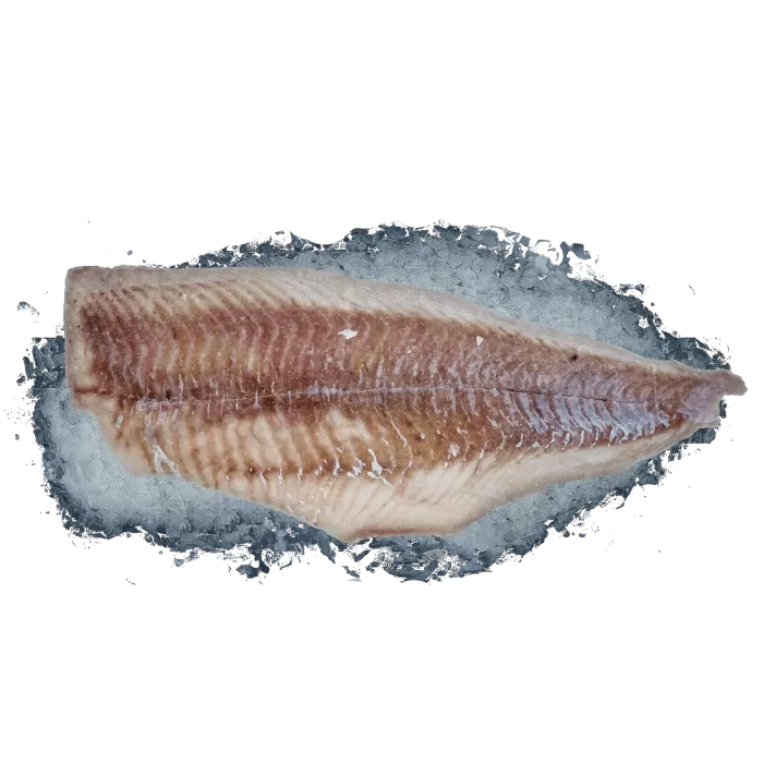 Kup teraz ➡ Filet z dorsza czarniaka 0% glazury 6,8kg