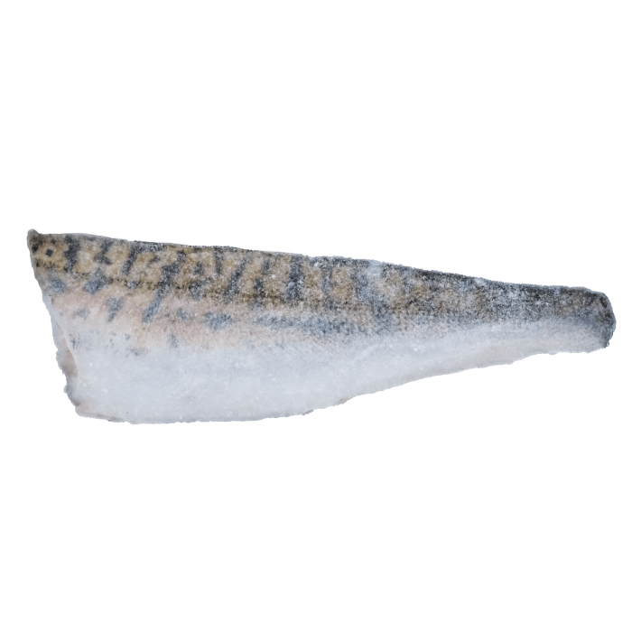 Sandacz filet ze skórą 20% glazury - Profish 5kg - Kup teraz