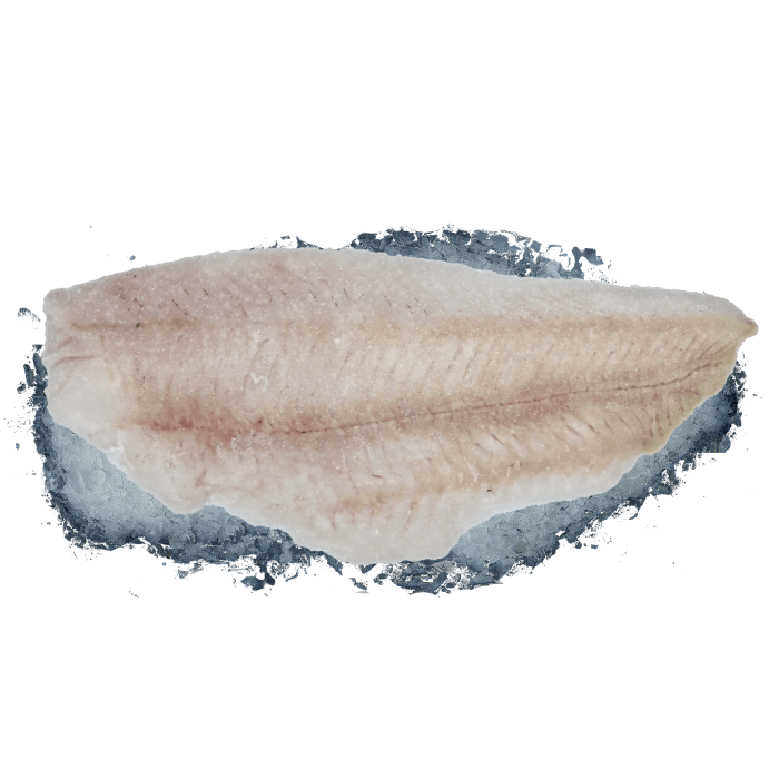 Morszczuk capensis filet bez skóry 0% glazury 5kg
