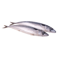 Kup teraz ➡ Makrela cała Scomber scombrus Profish, sklep rybny delikatesy łosoś