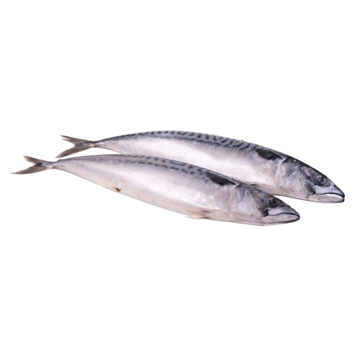 Kup teraz ➡ Makrela cała Scomber scombrus Profish, sklep rybny delikatesy łosoś